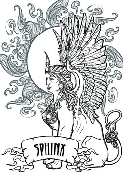 Sitting sphinx ancient greek mythical creature with beautiful woman torso lion body and eagle wings decorative background black and white coloring book page eps vector illustration vector