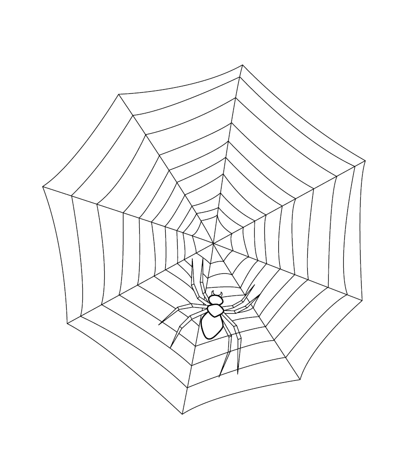 Spiderweb colouring picture free colouring book for children â monkey pen store