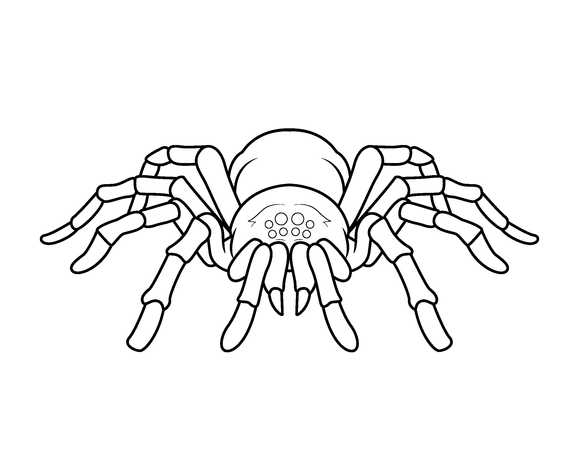 Spider coloring pages