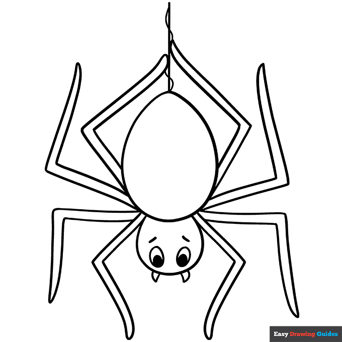 Cartoon spider coloring page easy drawing guides