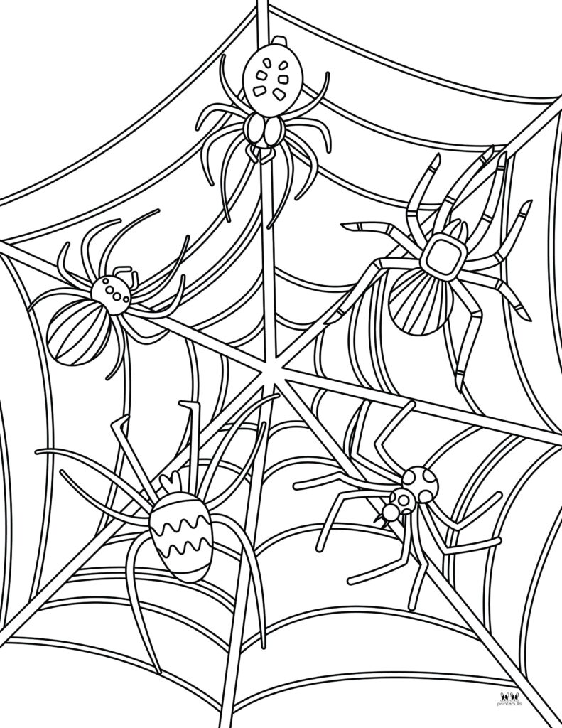 Halloween spider coloring pages