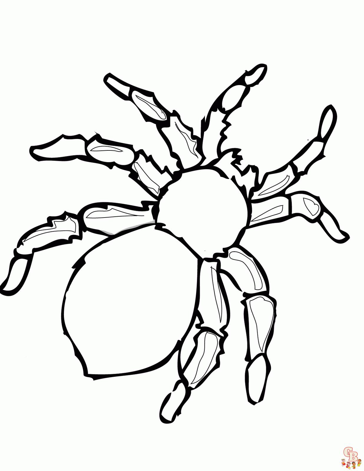 Unleash your childs creativity with spider coloring pages
