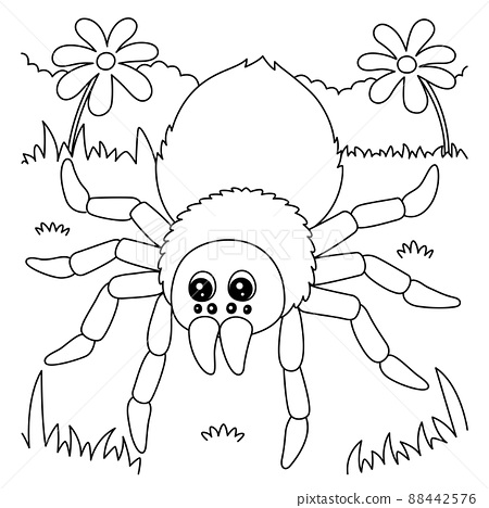 Tarantula animal coloring page for kids