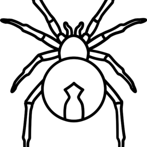 Spider coloring pages printable for free download