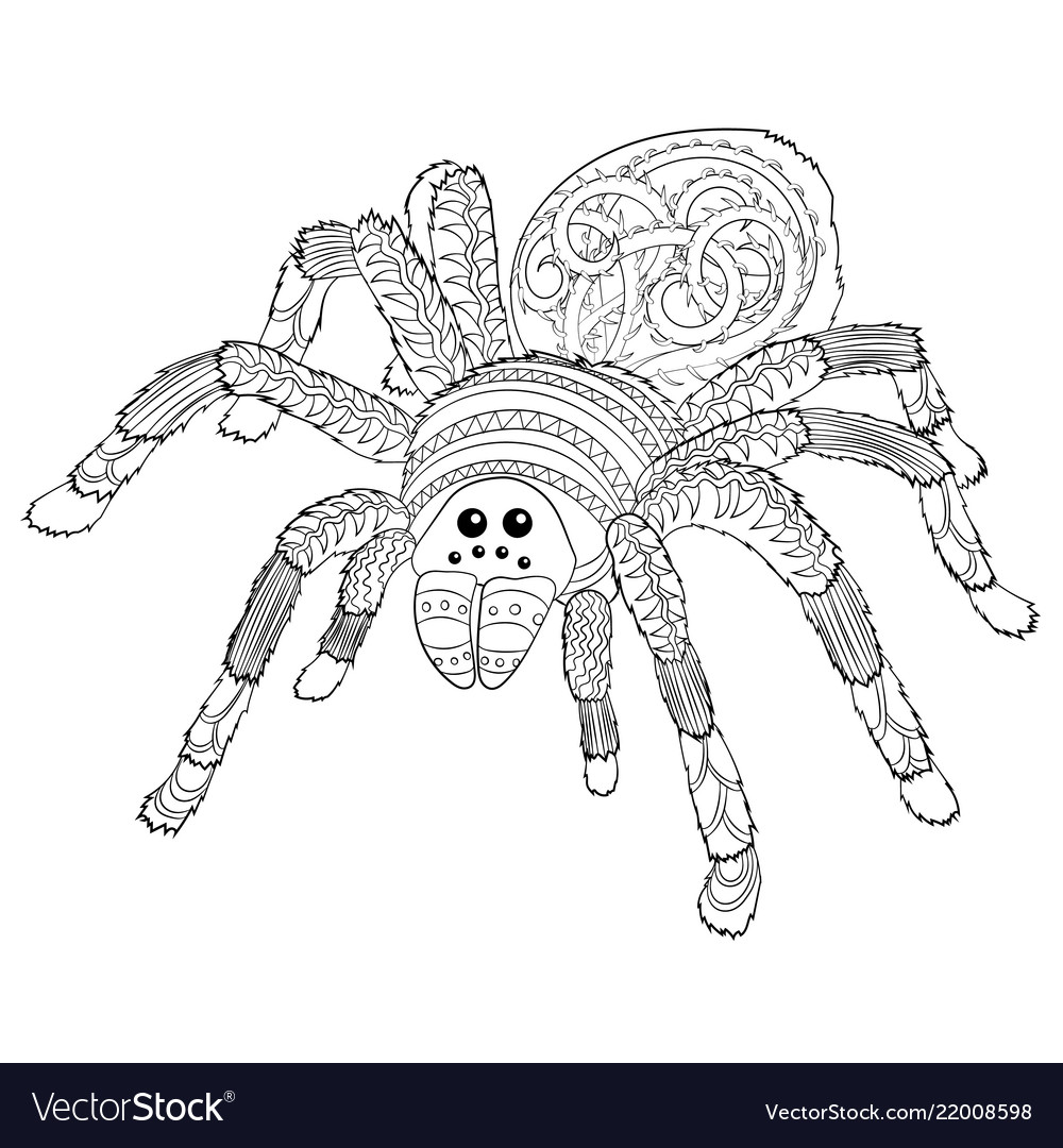 Adult coloring page with halloween nasty spider vector image
