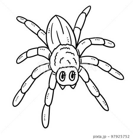 Mother spider isolated coloring page for kids