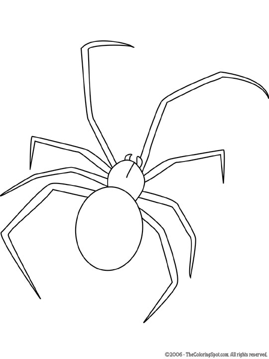 Black widow spider coloring page audio stories for kids free coloring pages colouring printables