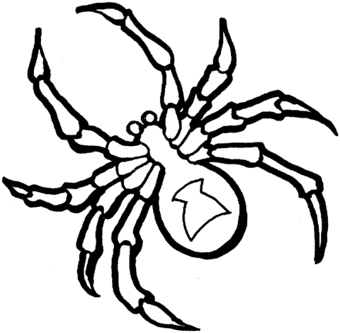 Black widow spider coloring page free printable coloring pages