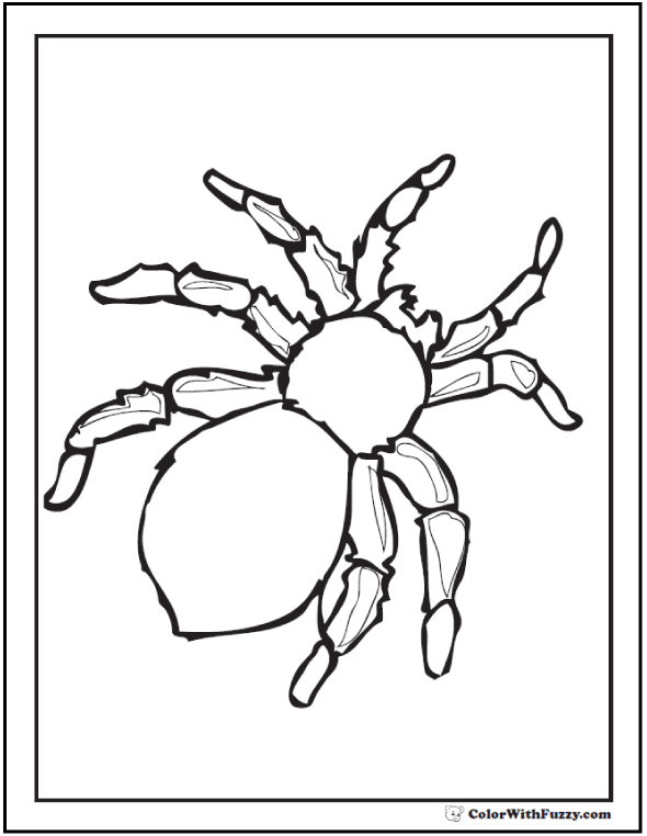 Halloween printable coloring pages jack olanterns spiders bats