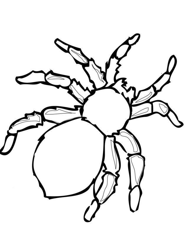 Printable halloween decoration cutouts spider coloring page free halloween coloring pages printable halloween decorations