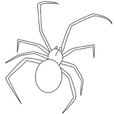 Top free printable spider coloring pages online