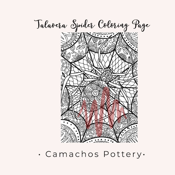 Spider coloring page spider web coloring page printable