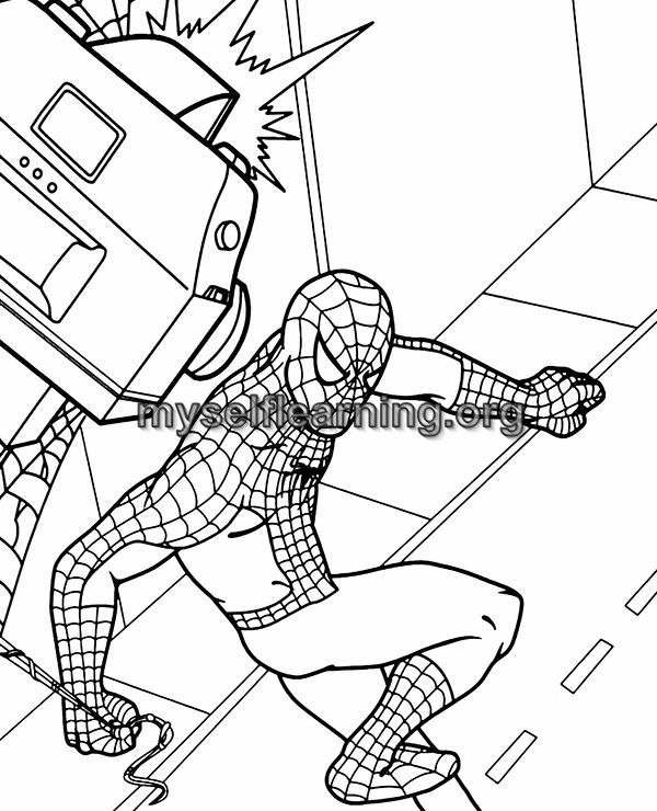 Spiderman cartoons coloring sheet instant download