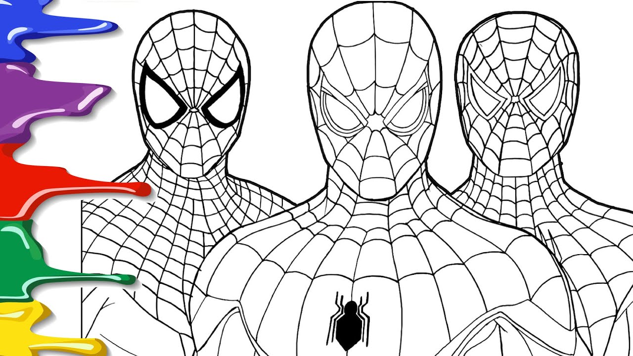 Versions of spideran coloring new spider