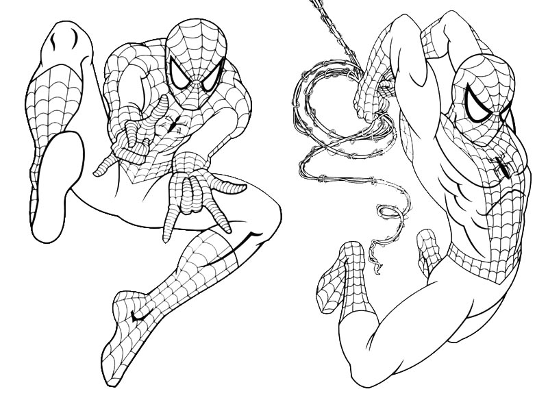 Spiderman coloring pages best sheets for kids and adults