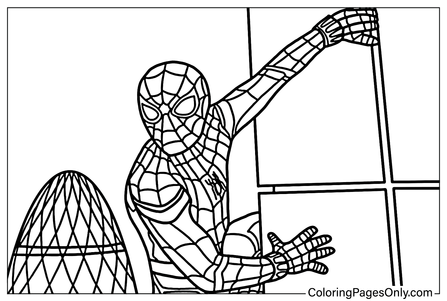 Coloring pages only on x spider