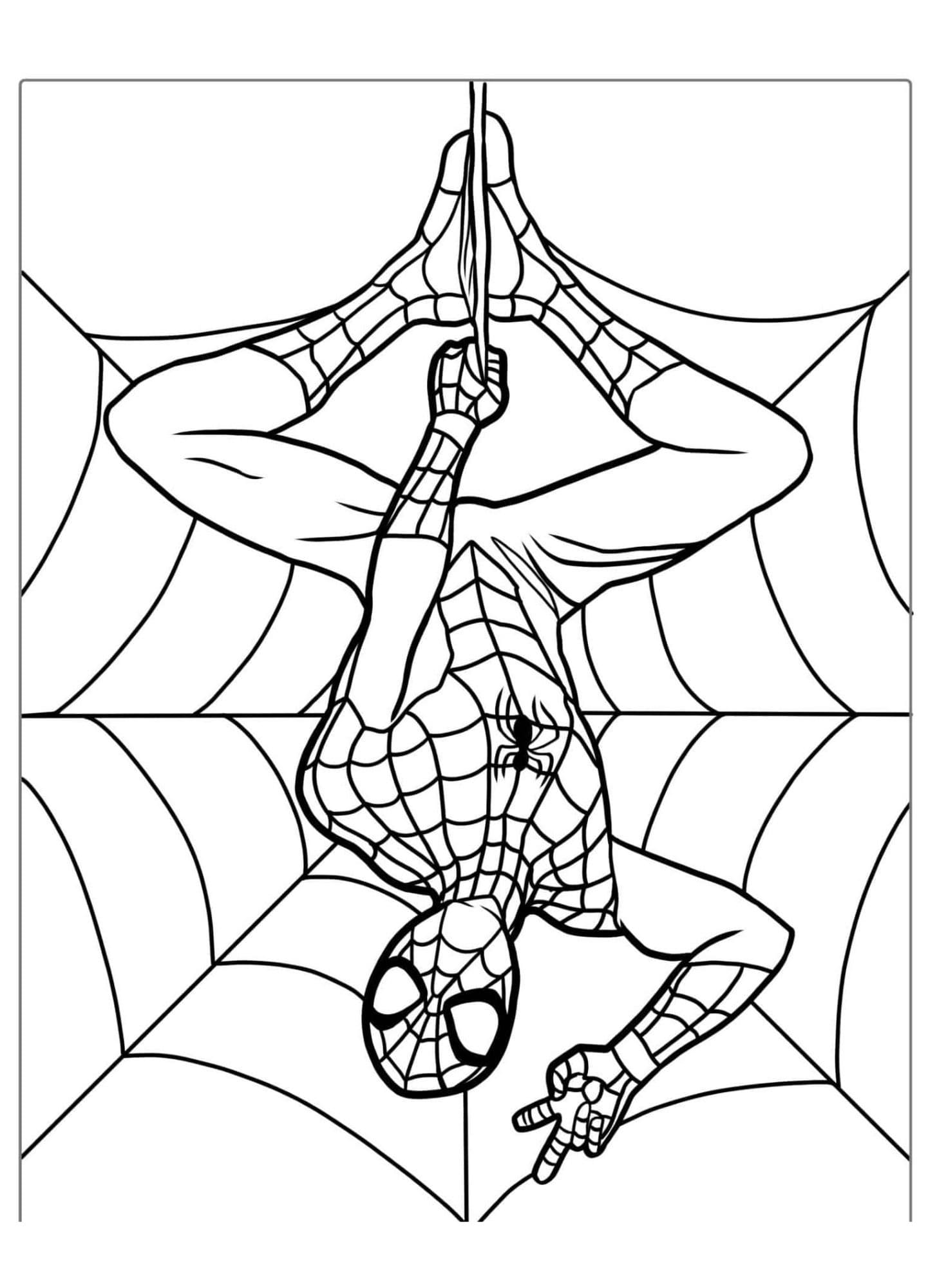 Spiderman coloring