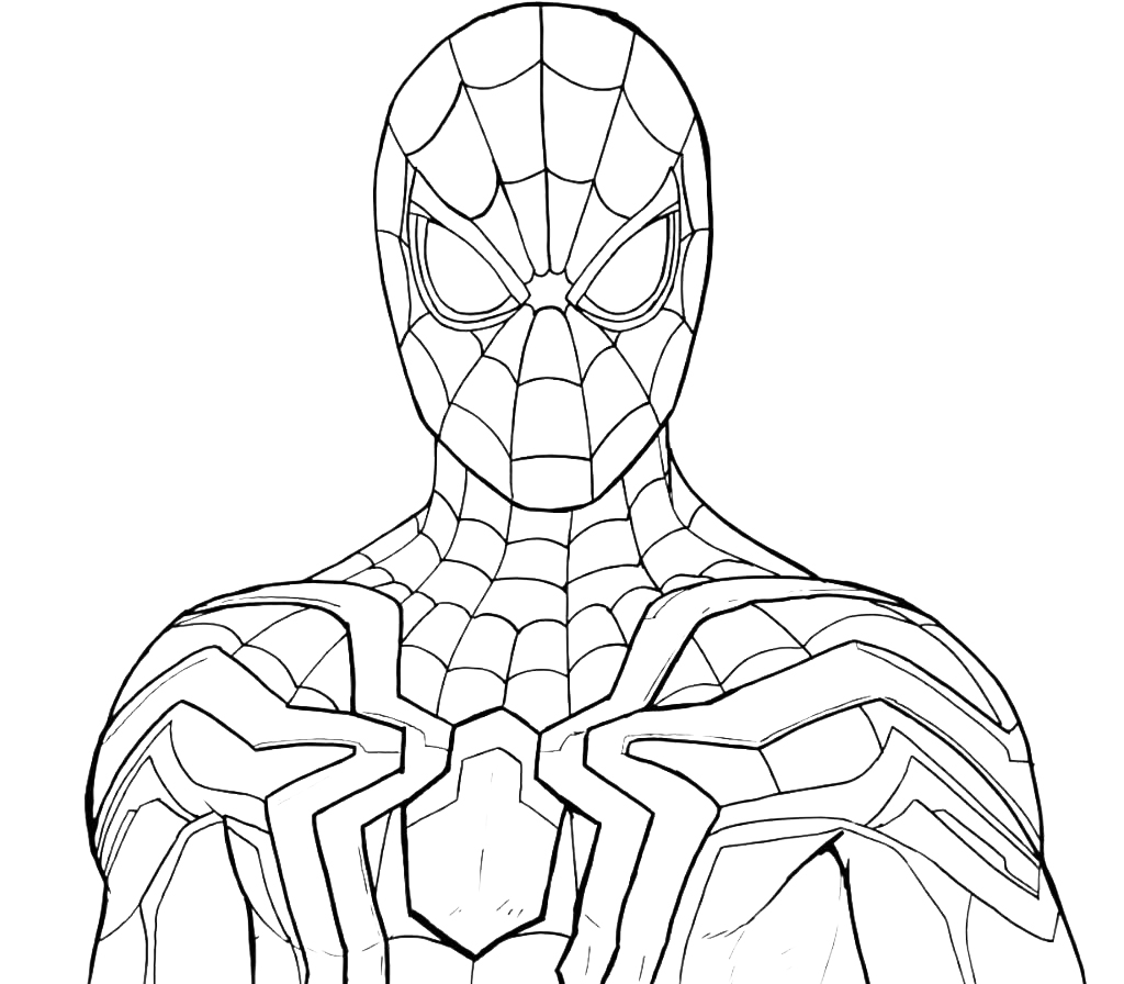 Coloring pages spider
