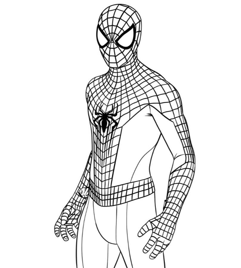 Coloring pages spider