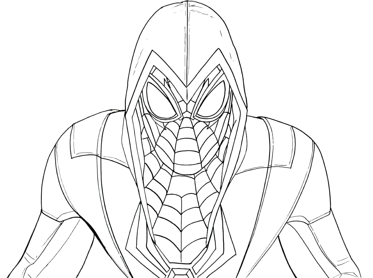 Coloring pages spider