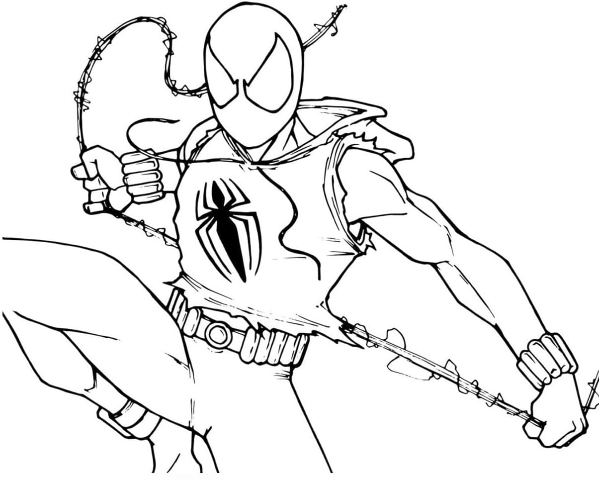 Drawing of spider