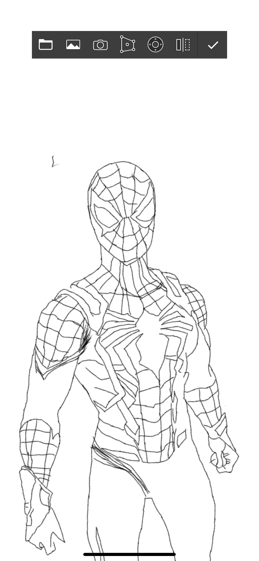 I kinda messed up spider