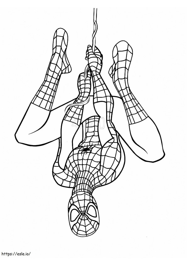 Spiderman coloring page