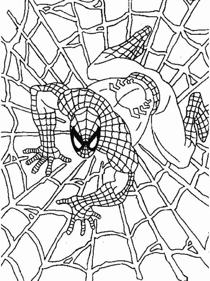 Free printable spiderman coloring pages for kids superhero coloring pages batman coloring pages spiderman coloring