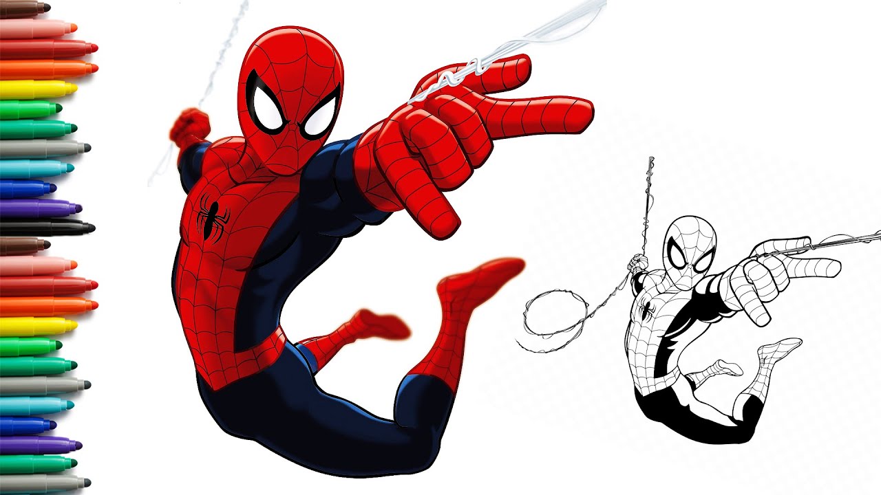 How to draw spider