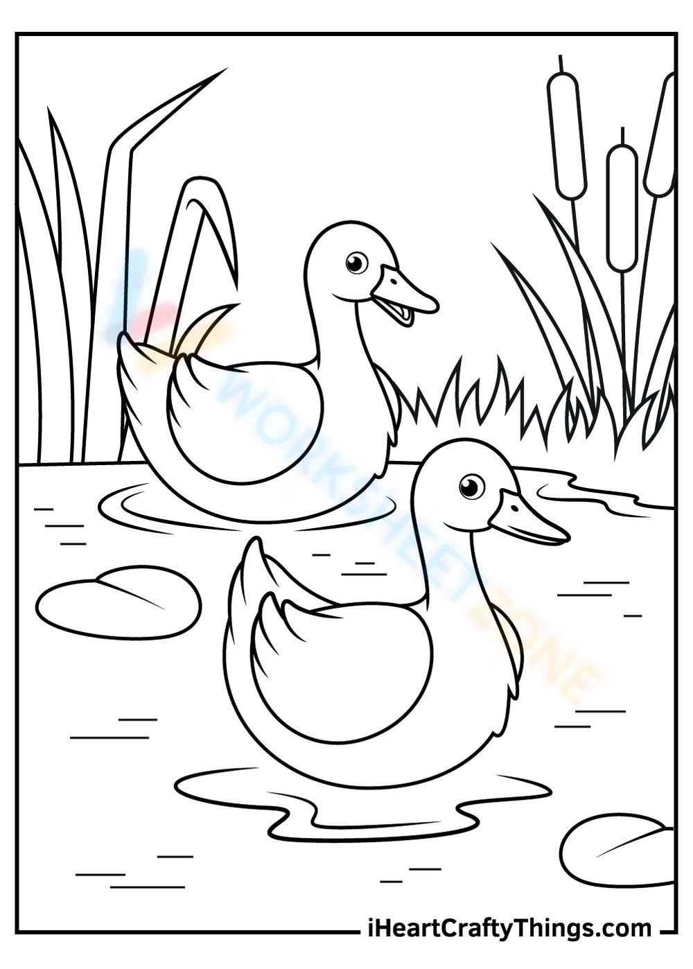 Grade duck coloring pages worksheets