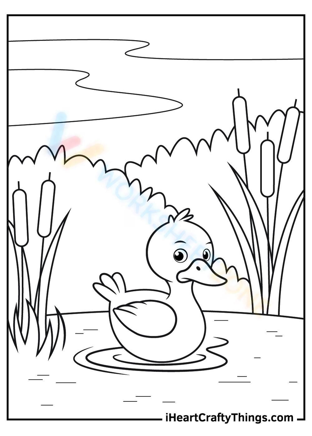 Grade duck coloring pages worksheets