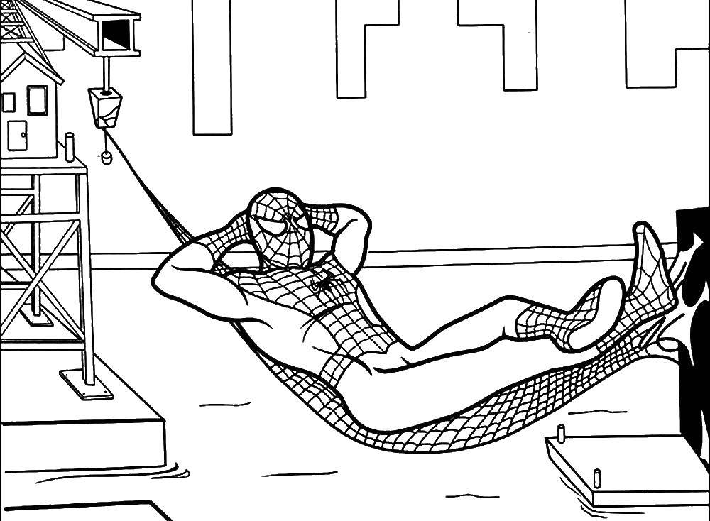 Online coloring pages coloring page spider man on the hammock spider man download print coloring page