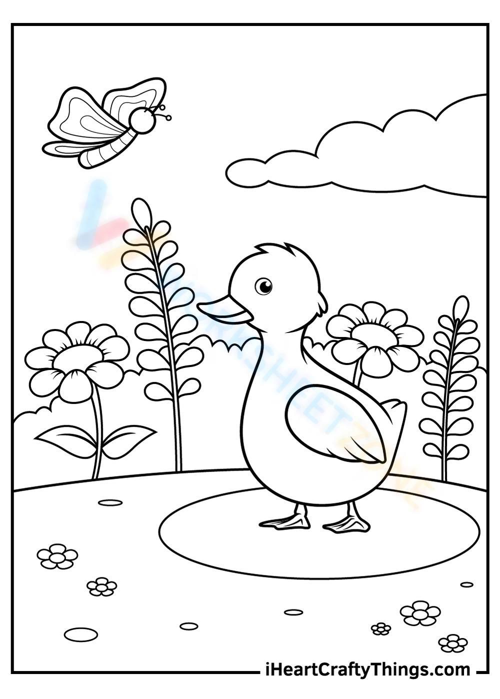 Grade duck coloring pages worksheets
