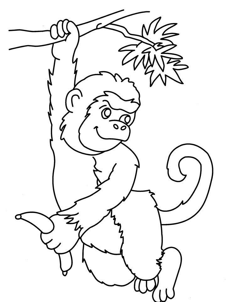 Monkey playing coloring page