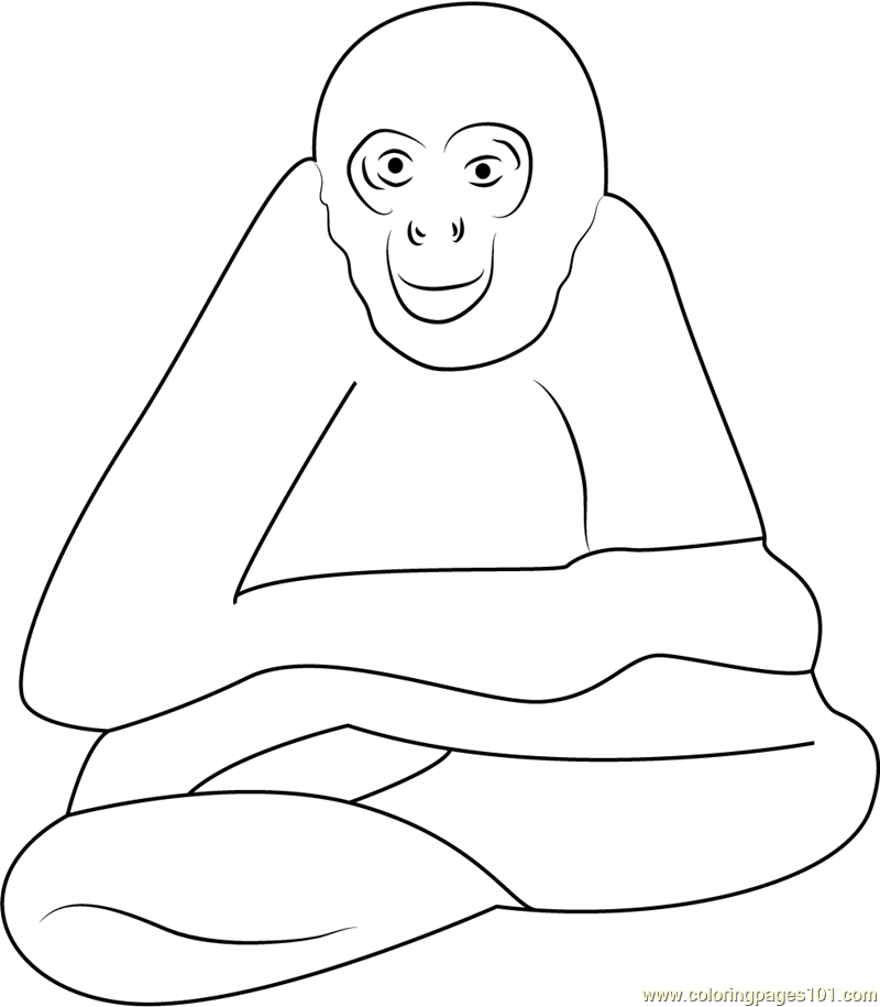 Spider monkey coloring page for kids