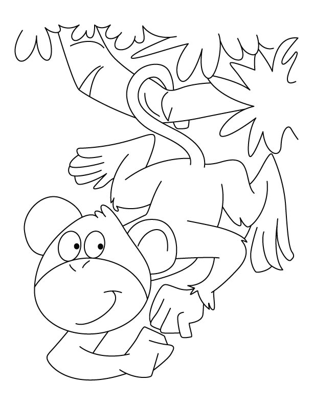 Spider monkey coloring pages download free spider monkey coloring pages for kids best coloring pages