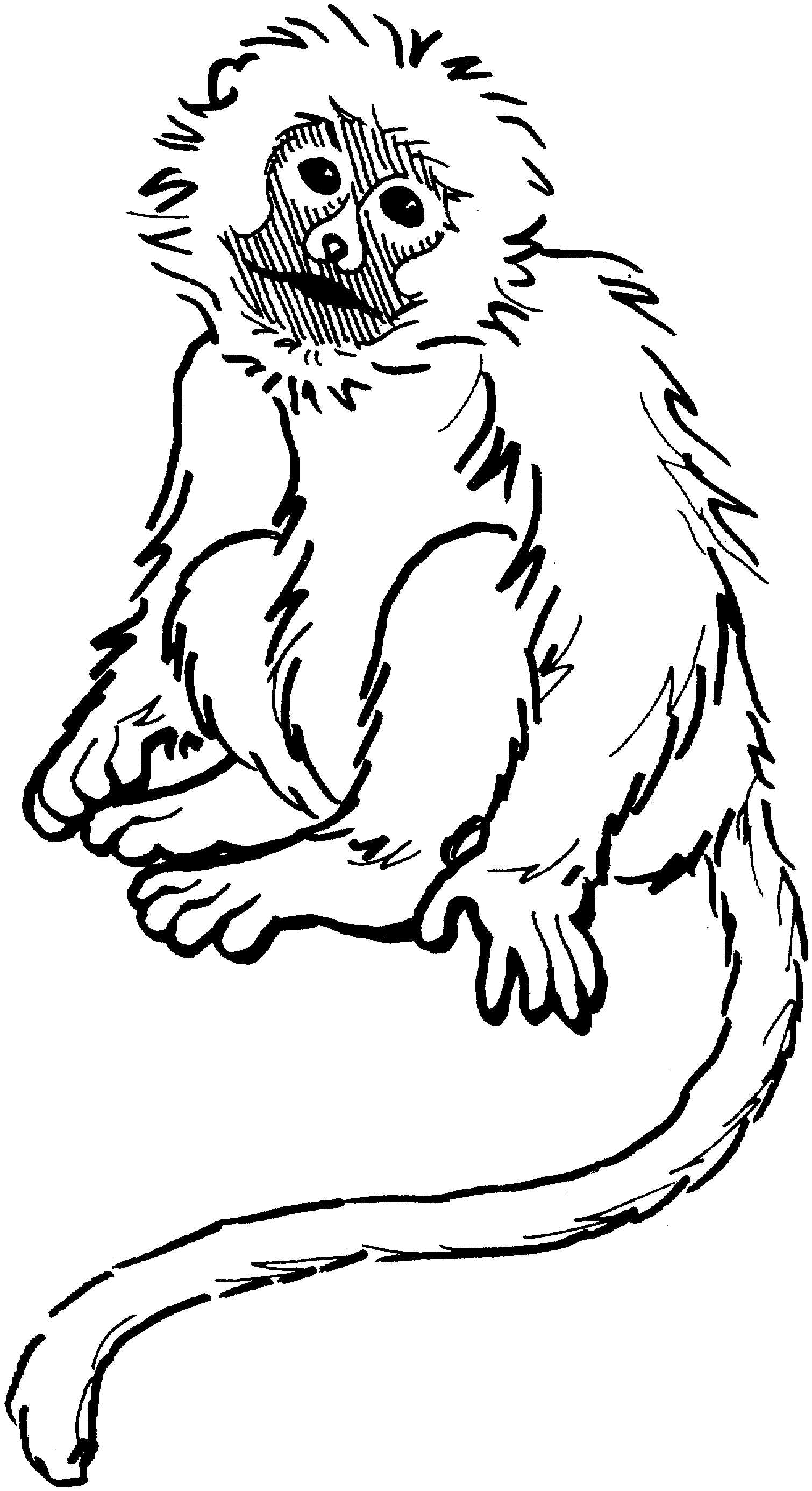 Free printable monkey coloring pages for kids