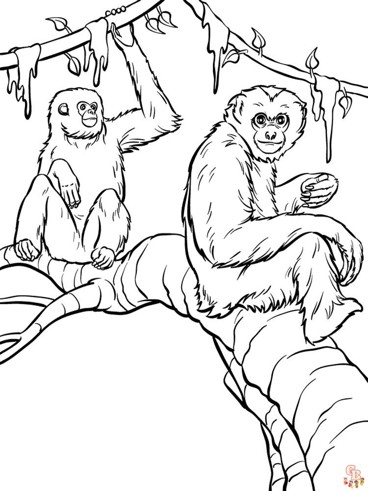 Apes coloring pages with s free printable