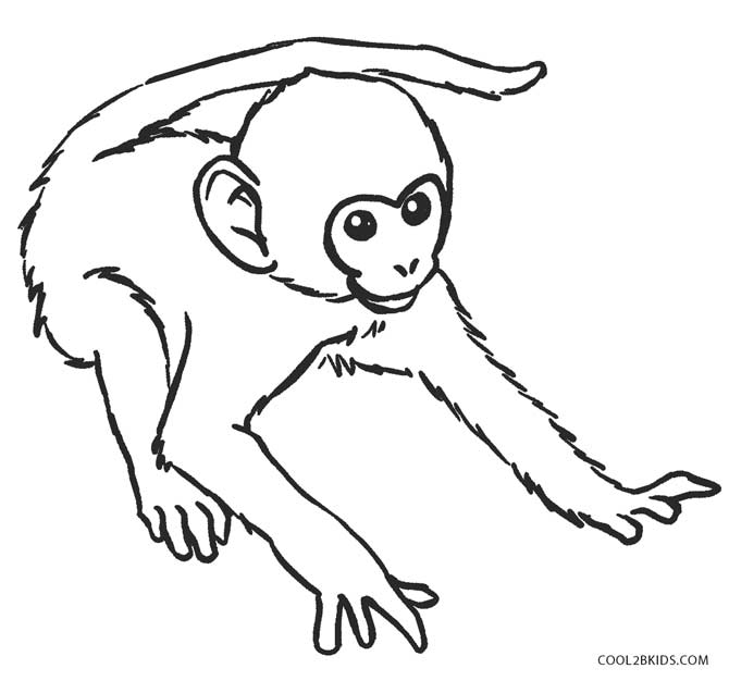 Free printable monkey coloring pages for kids