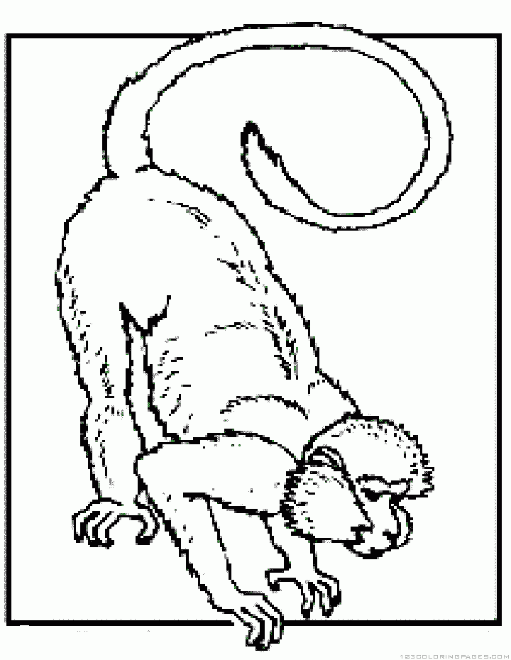 Monkey coloring pages