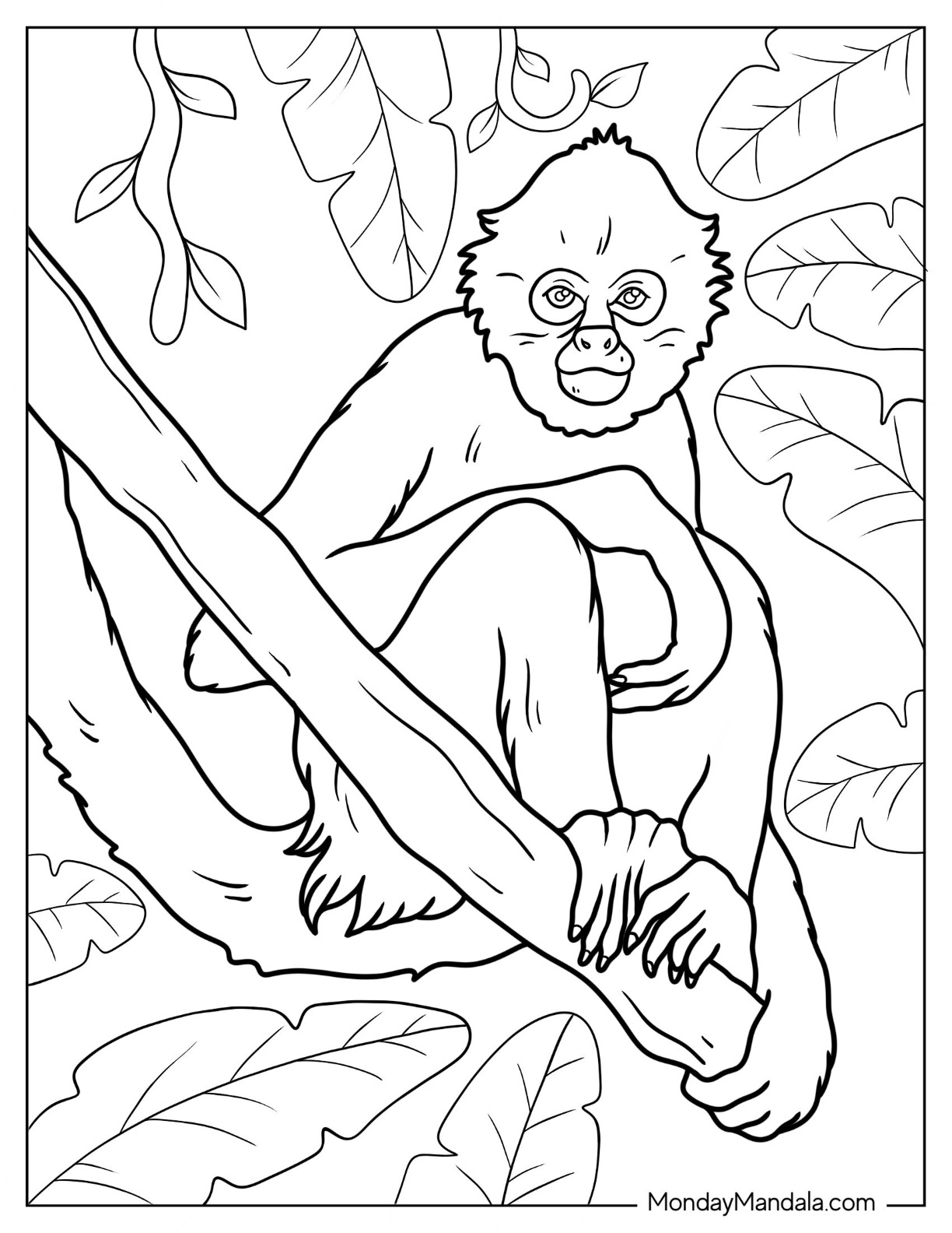 Monkey coloring pages free pdf printables