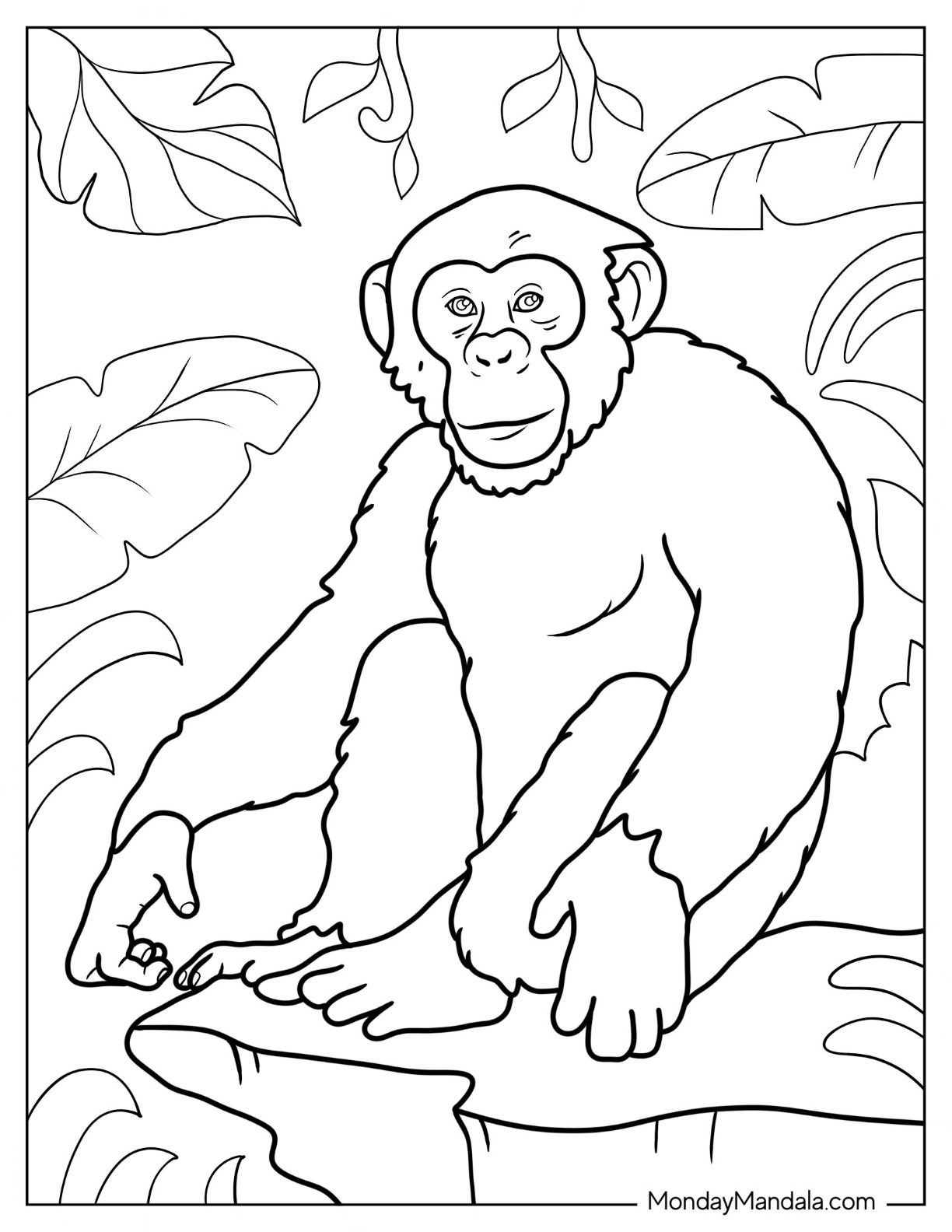 Monkey coloring pages free pdf printables