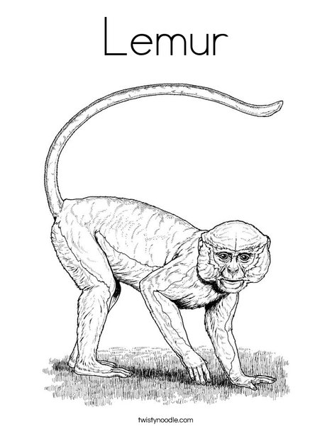 Lemur coloring page