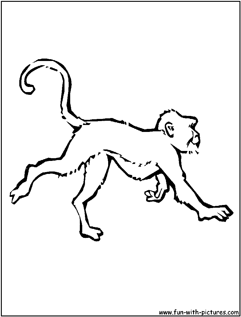 Monkey coloring page