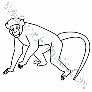 Monkey coloring pages