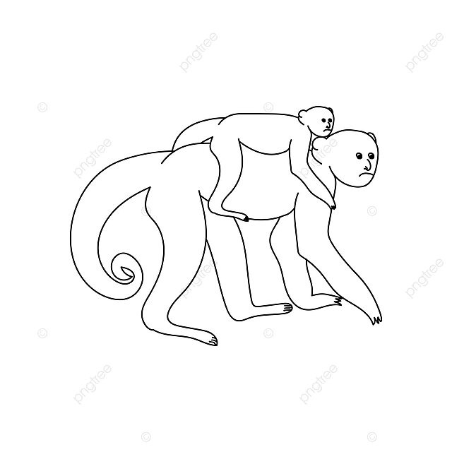 Animal coloring page of monkey mom and baby vector together mothers day love png and vector with transparent background for free download