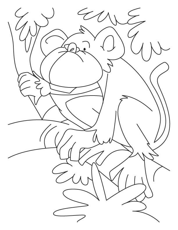 Howler monkey coloring pages download free howler monkey coloring pages for kids best coloring pages