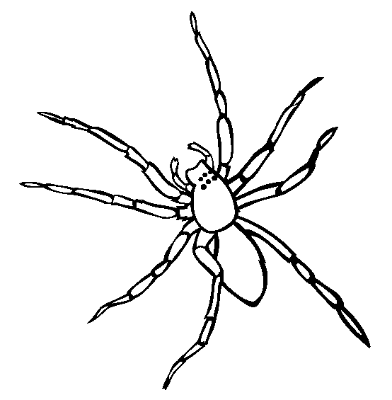 Spider coloring page