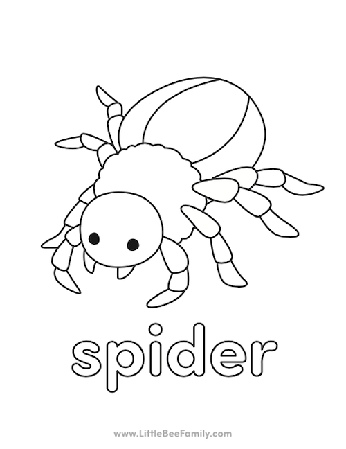 Spider coloring page