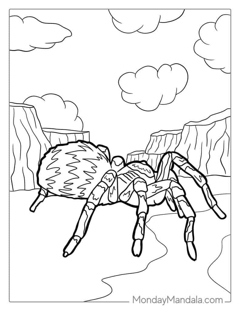 Spider coloring pages free pdf printables